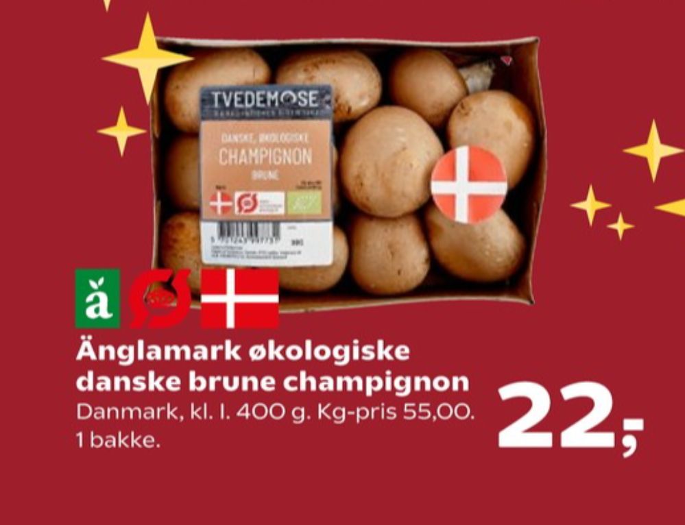 Tvedemose, Champignon