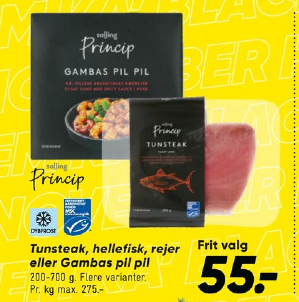 Salling Princip, Rejer