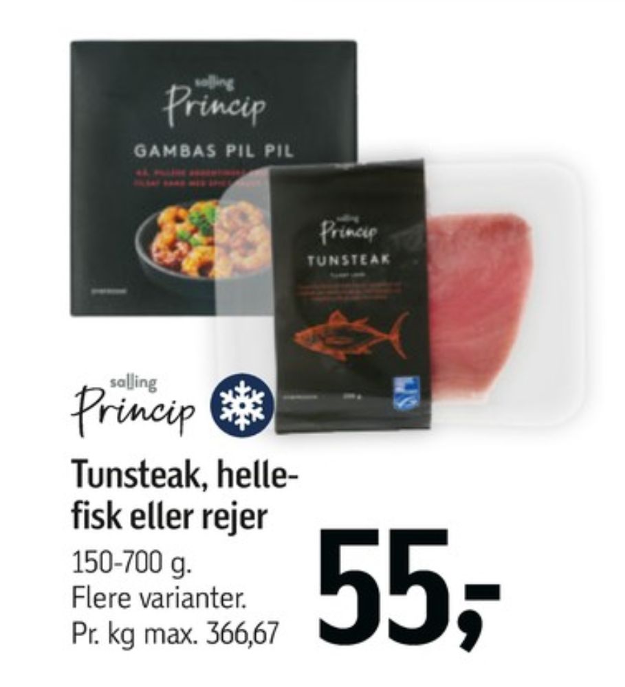 Salling Princip, Rejer