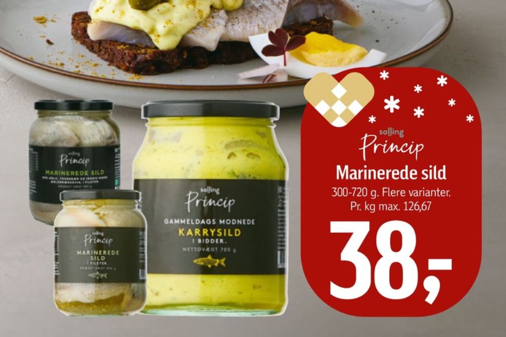 Salling Princip, Sild