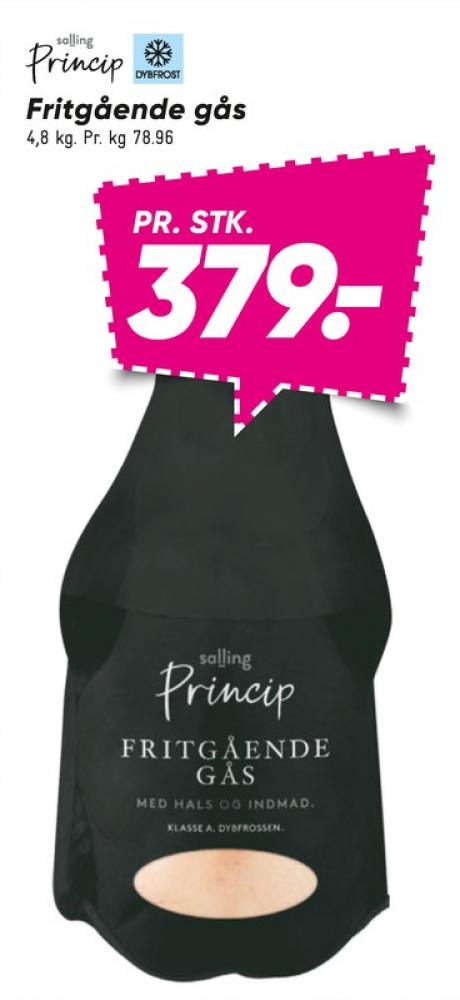 Salling Princip, Gås