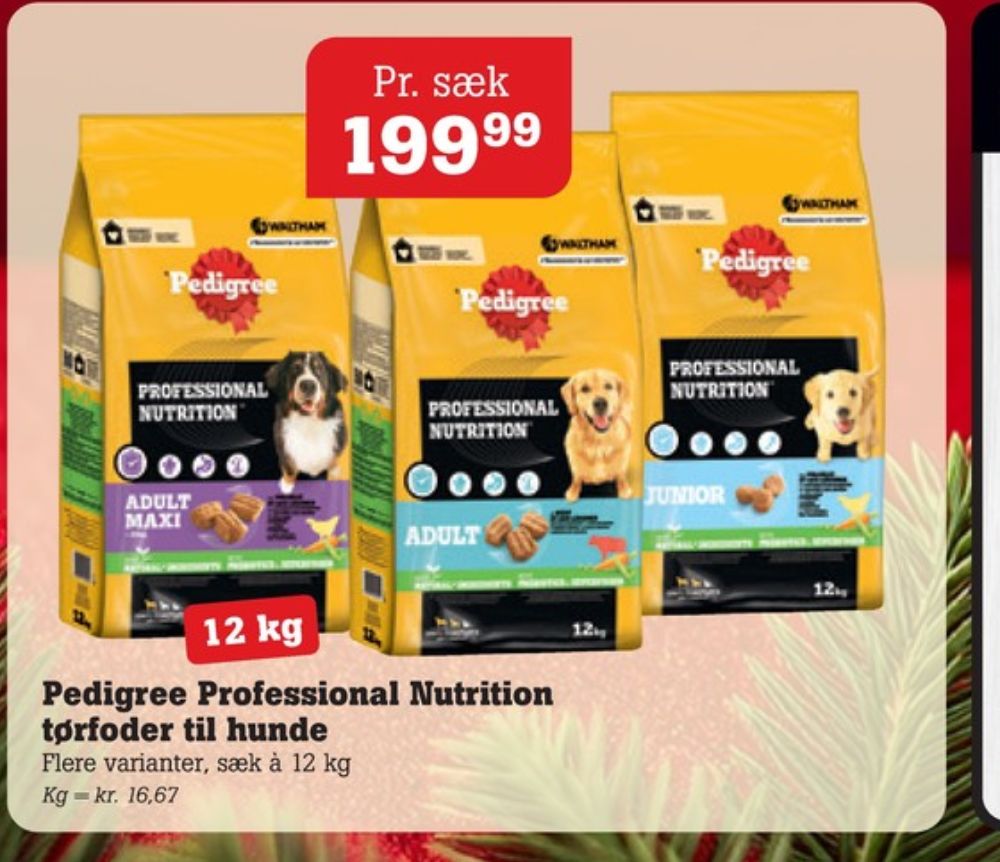 Pedigree, Hundefoder