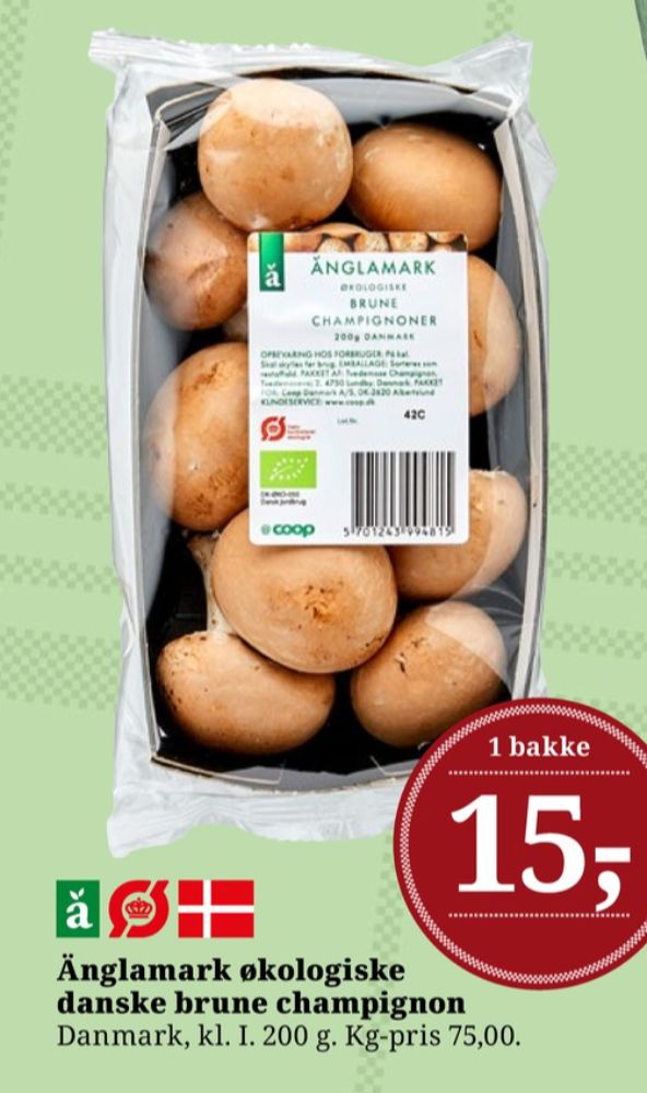 Änglamark, Champignon Brune