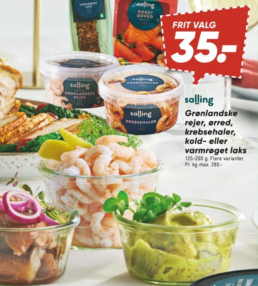 Salling Princip, Rejer