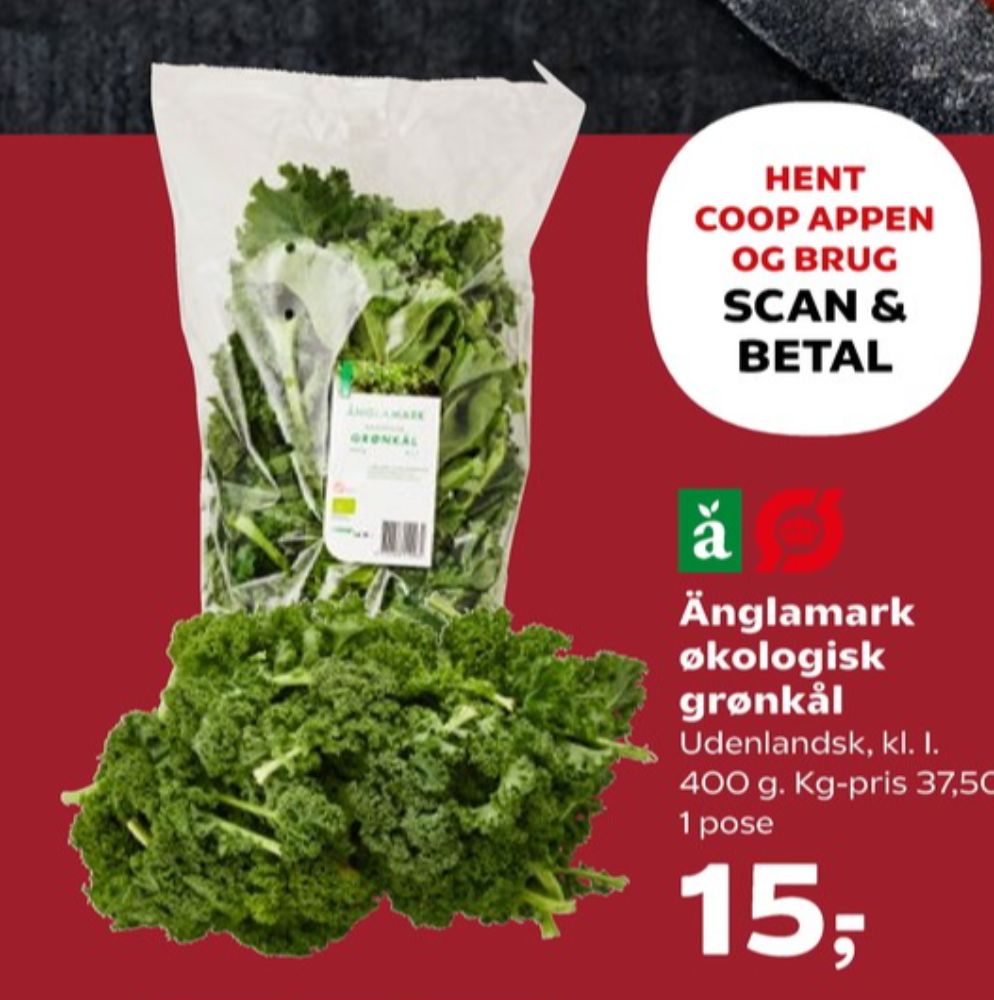 Änglamark, Grønkål