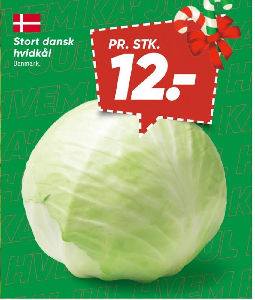 Hvidkål