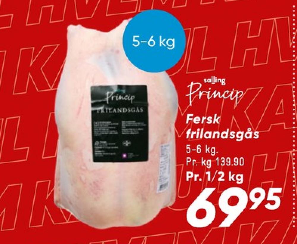 Salling Princip, Gås