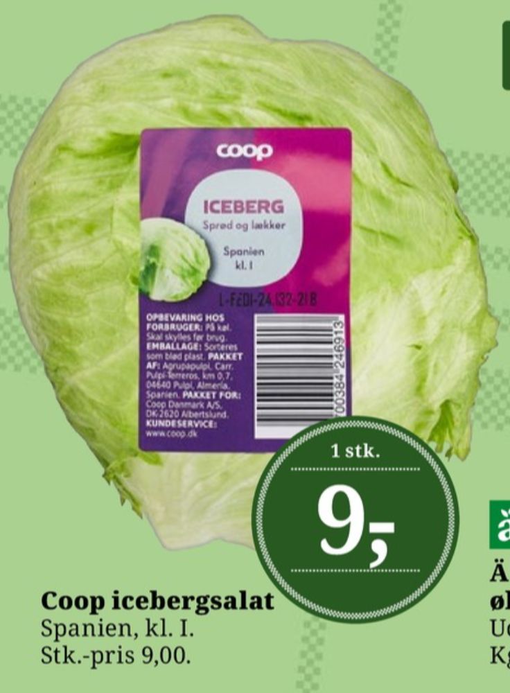 Coop, Icebergsalat