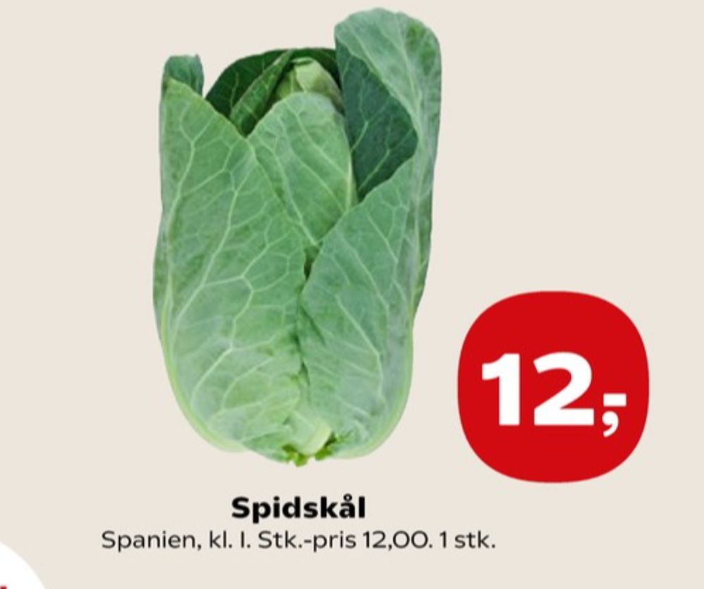 Spidskål