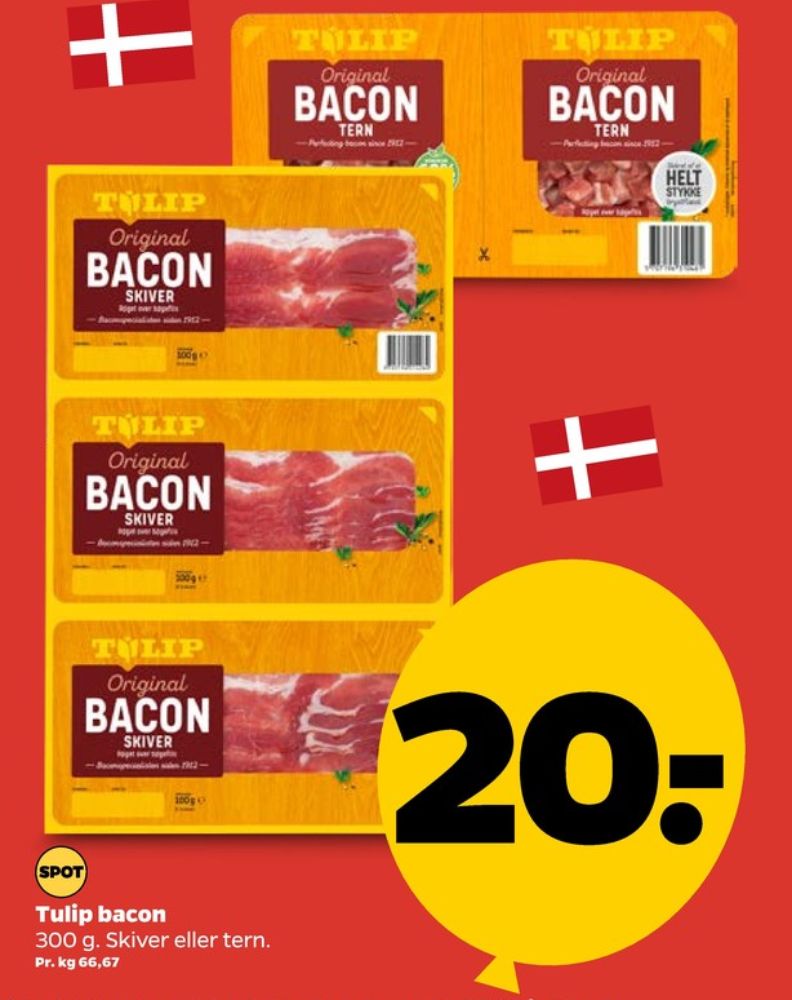 Tulip, Baconskiver