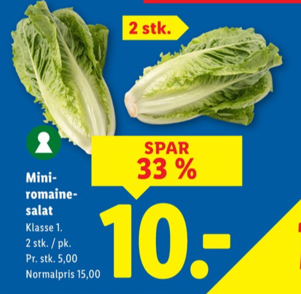 Romainesalat