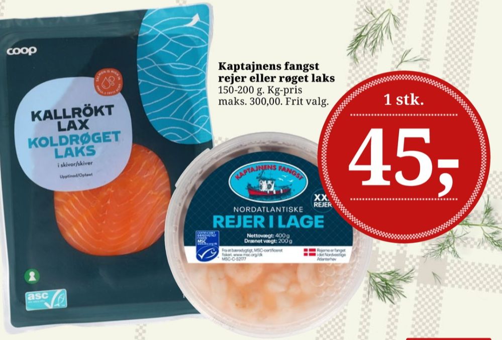 Kaptajnens Fangst, Rejer