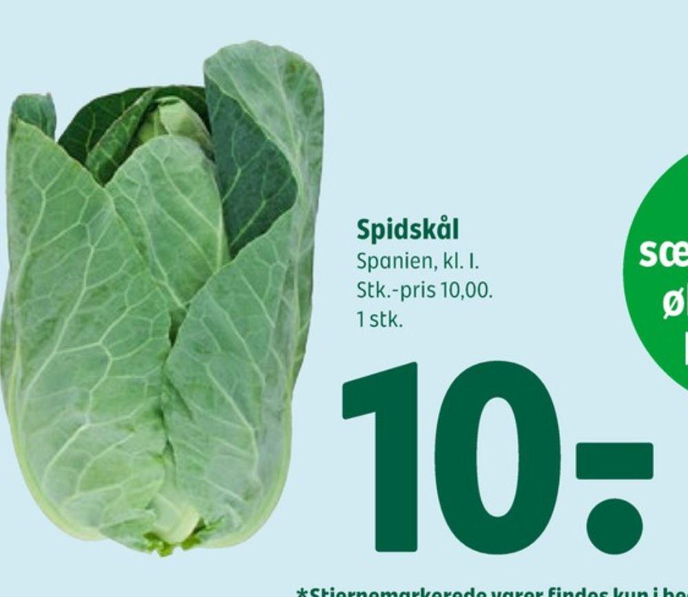 Spidskål