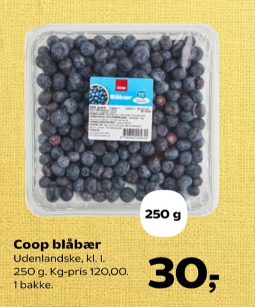 Coop, Blåbær
