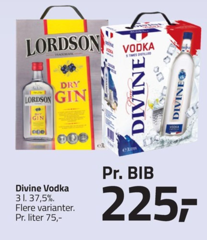 Lordson, Gin