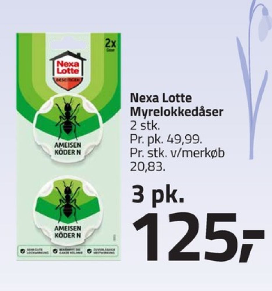 Nexa Lotte, Myrelokkedåse