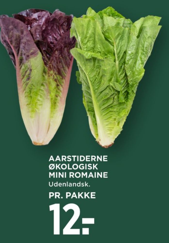 Aarstiderne, Mini romaine