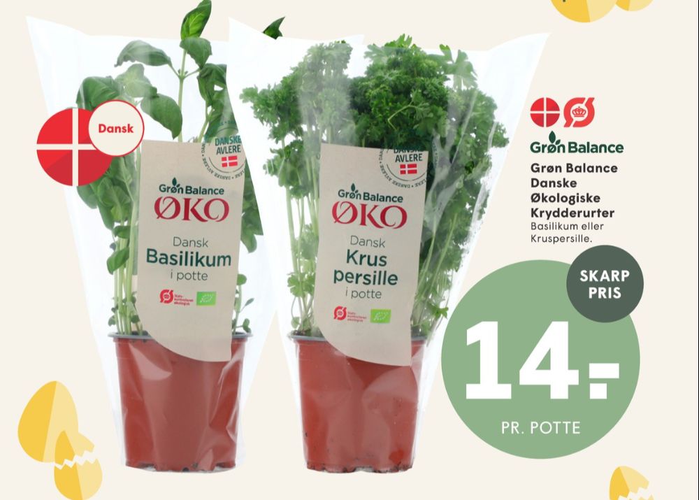 Grøn Balance, Krydderurter