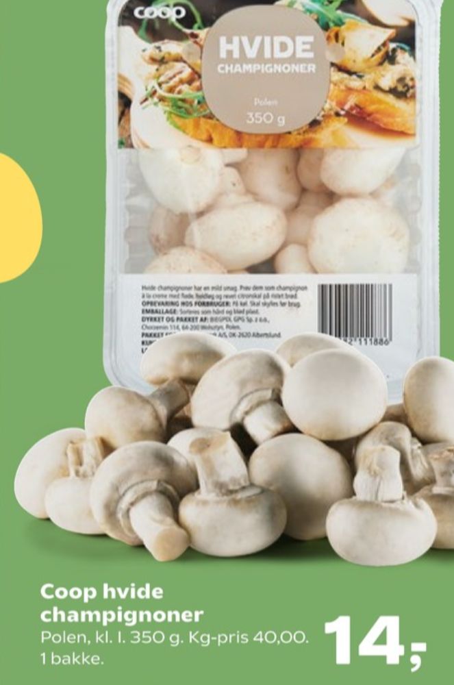 Coop, Champignon