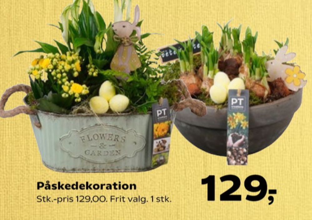 Blomsterdekorationer