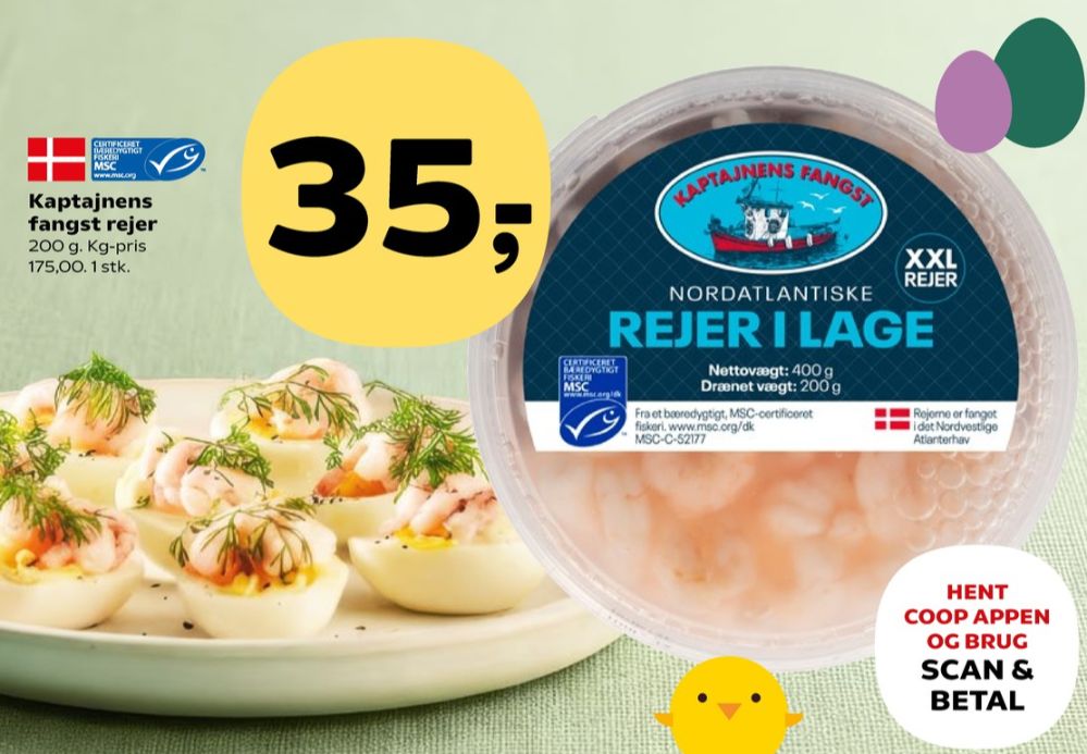 Kaptajnens Fangst, Rejer