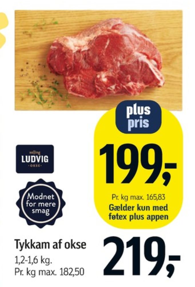 Salling Ludvig, Oksetykkam