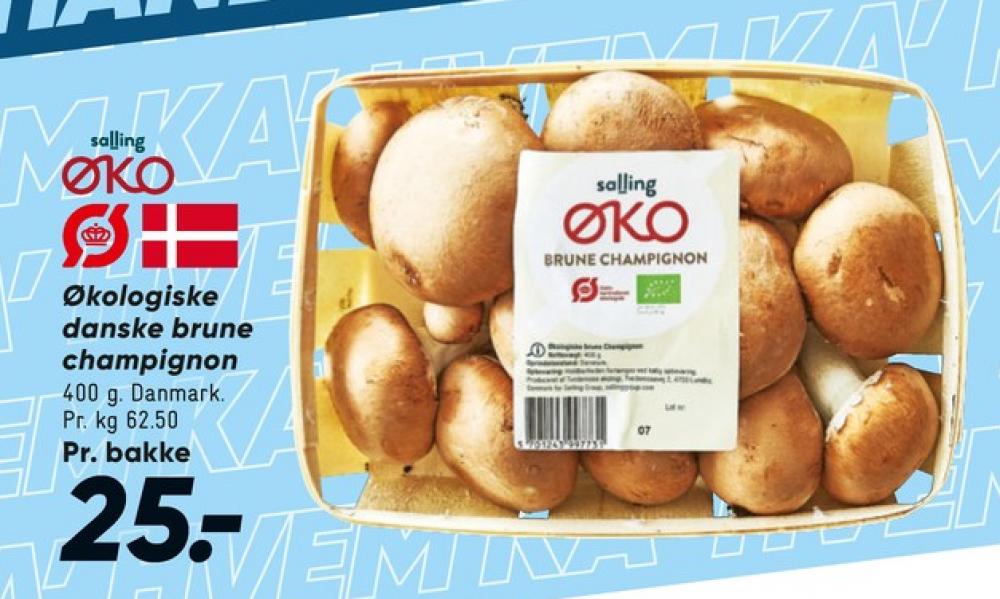 Salling ØKO, Champignon