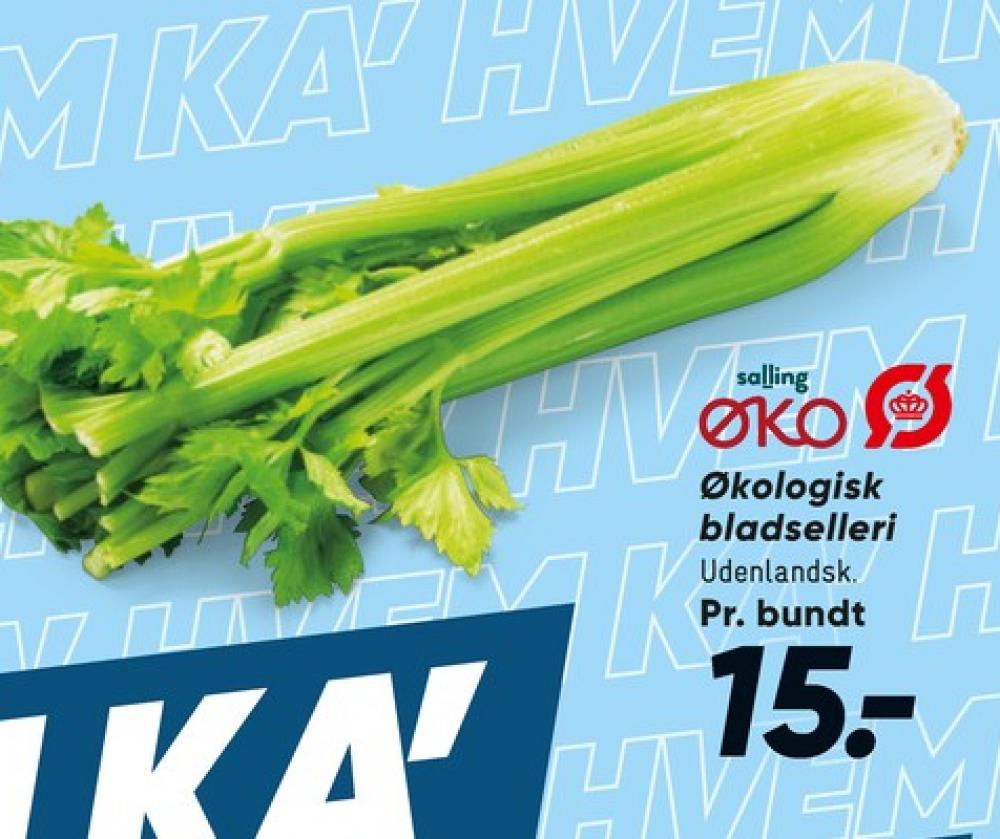 Salling ØKO, Bladselleri