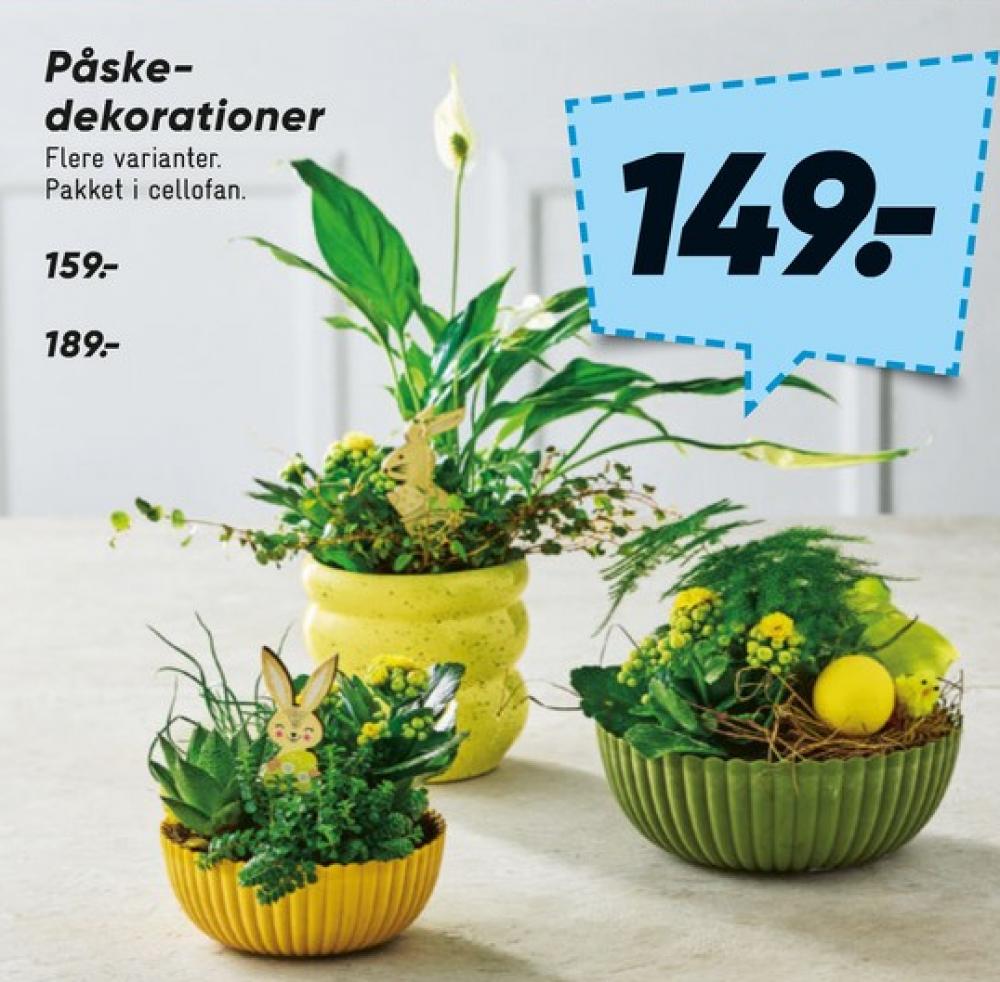 Blomsterdekorationer