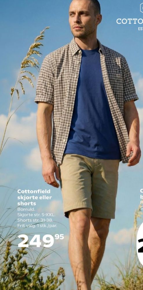 Cottonfield, Shorts
