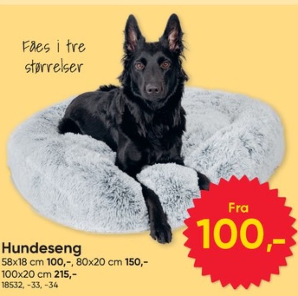 Hundesenge