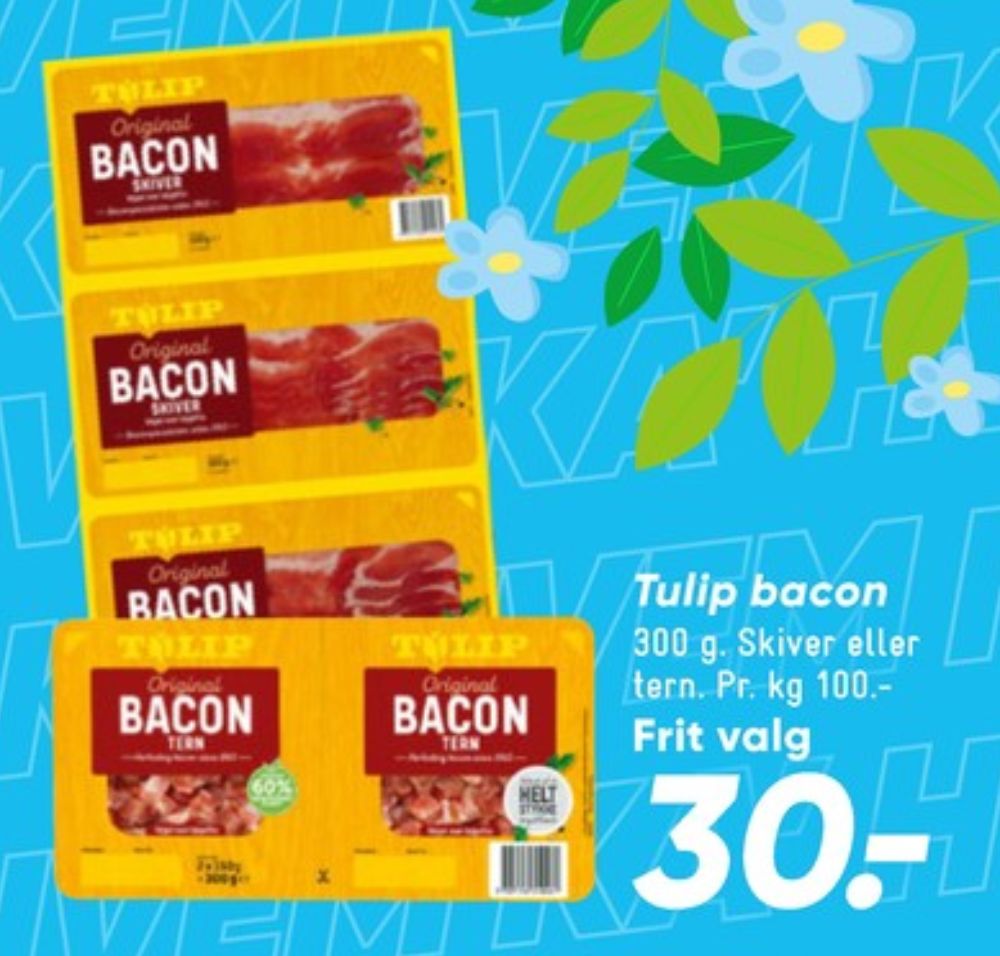 Tulip, Baconskiver