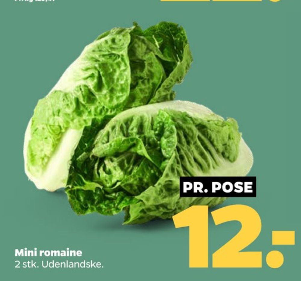 Romainesalat