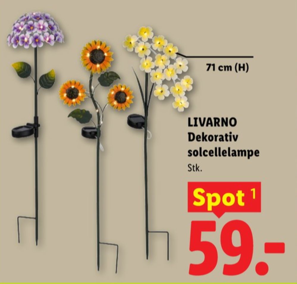 Livarno, Solcellelampe