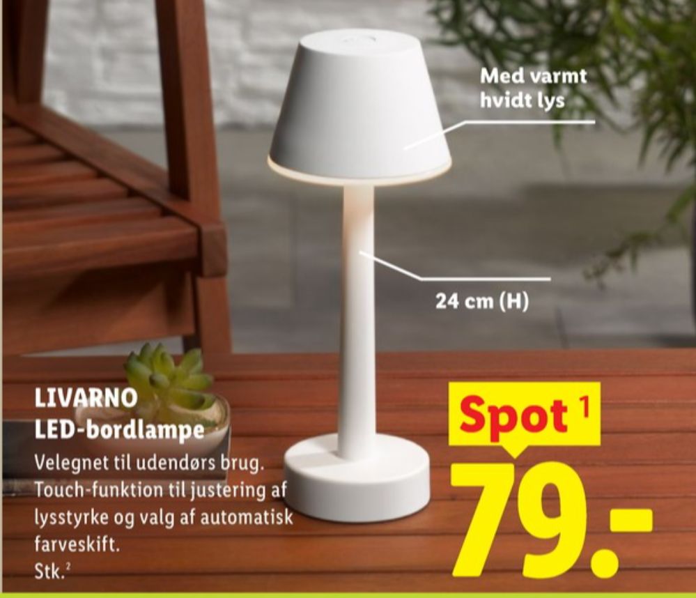 Livarno, Bordlampe