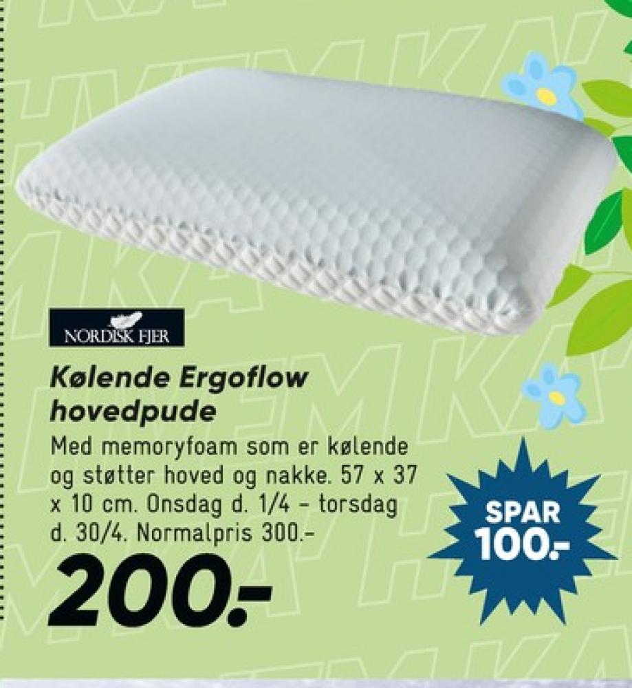 Nordisk Fjer, Hovedpude