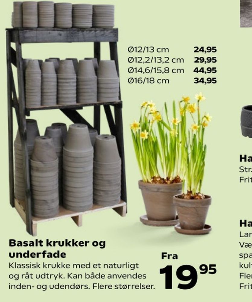 Urtepotteskjuler