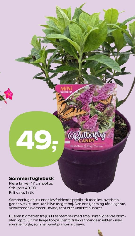Planter