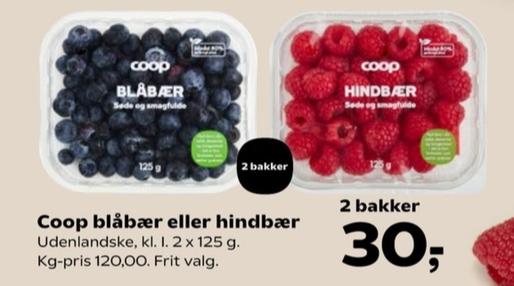 Coop, Blåbær