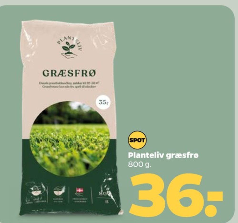 Planteliv, Græsfrø