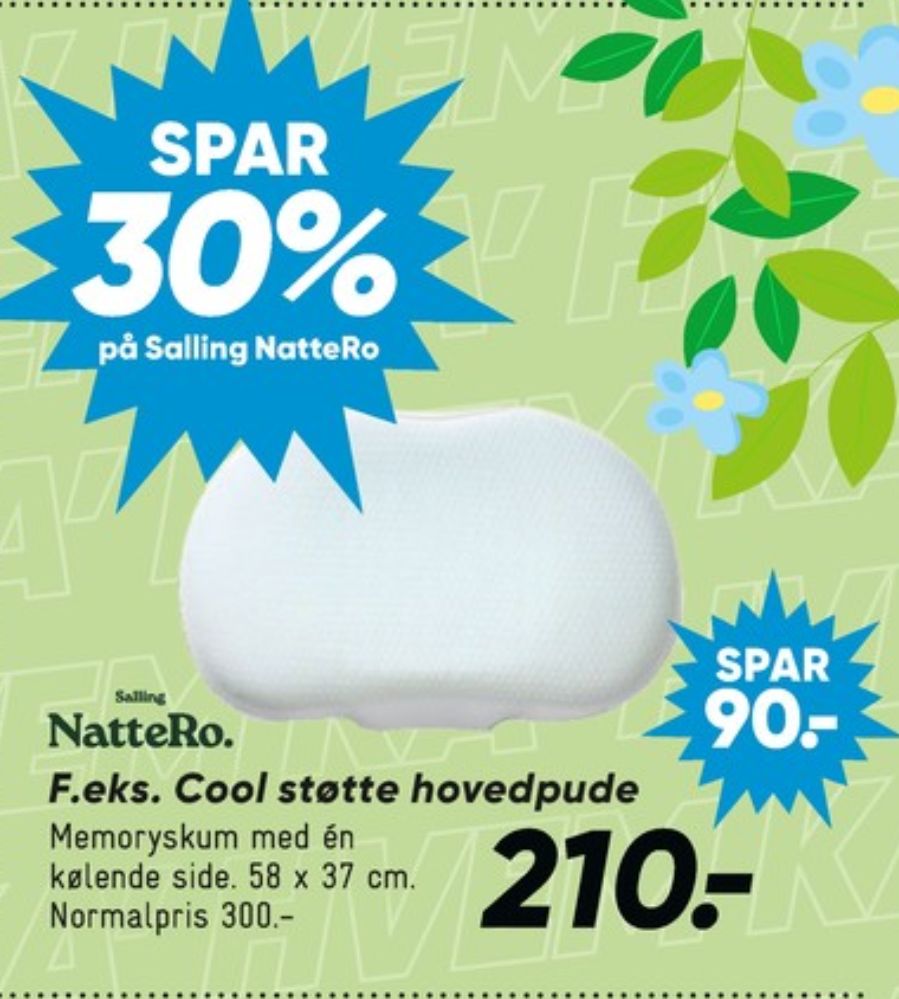 Nordisk Fjer, Hovedpude