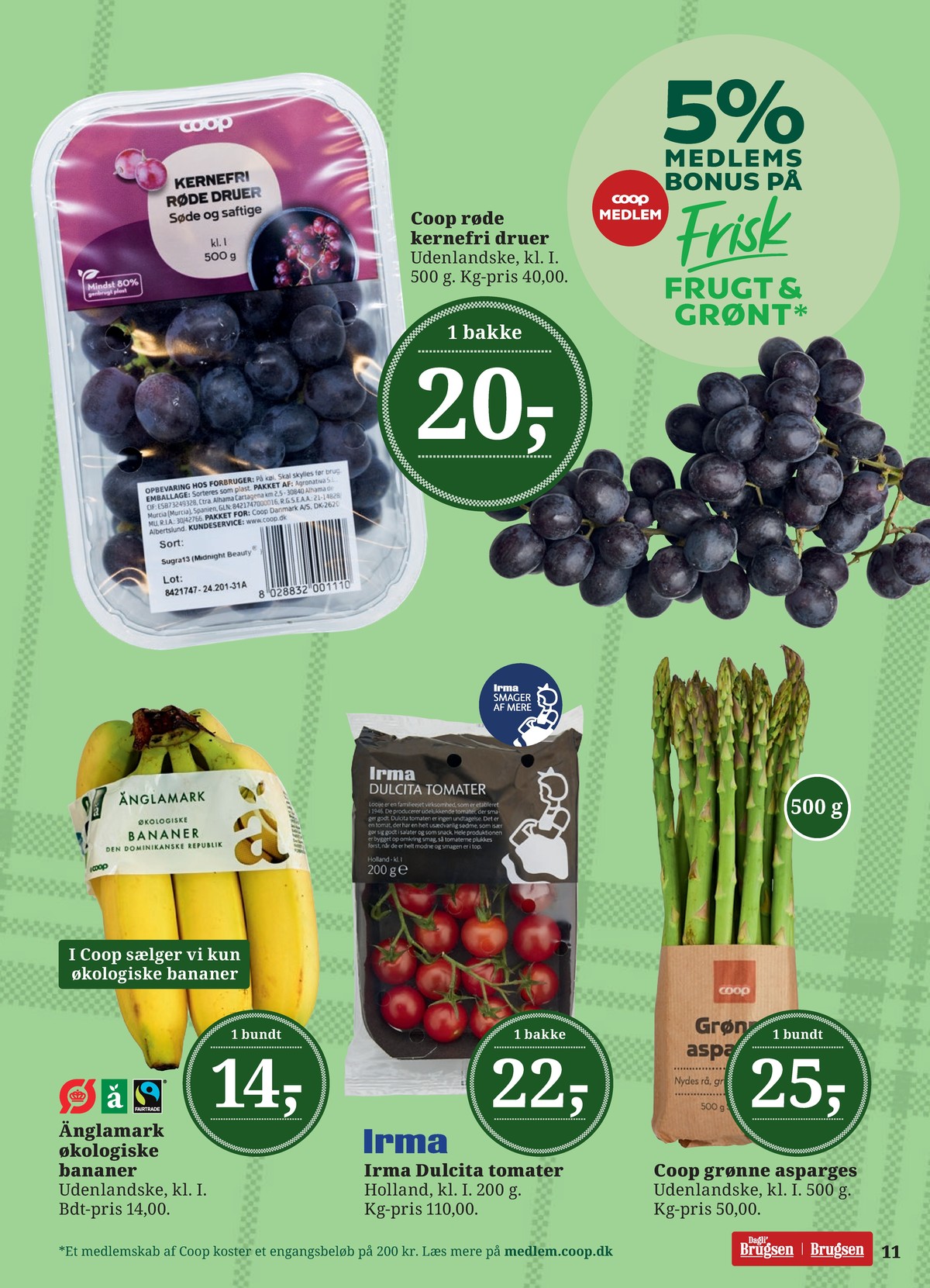 Catalogue page 11