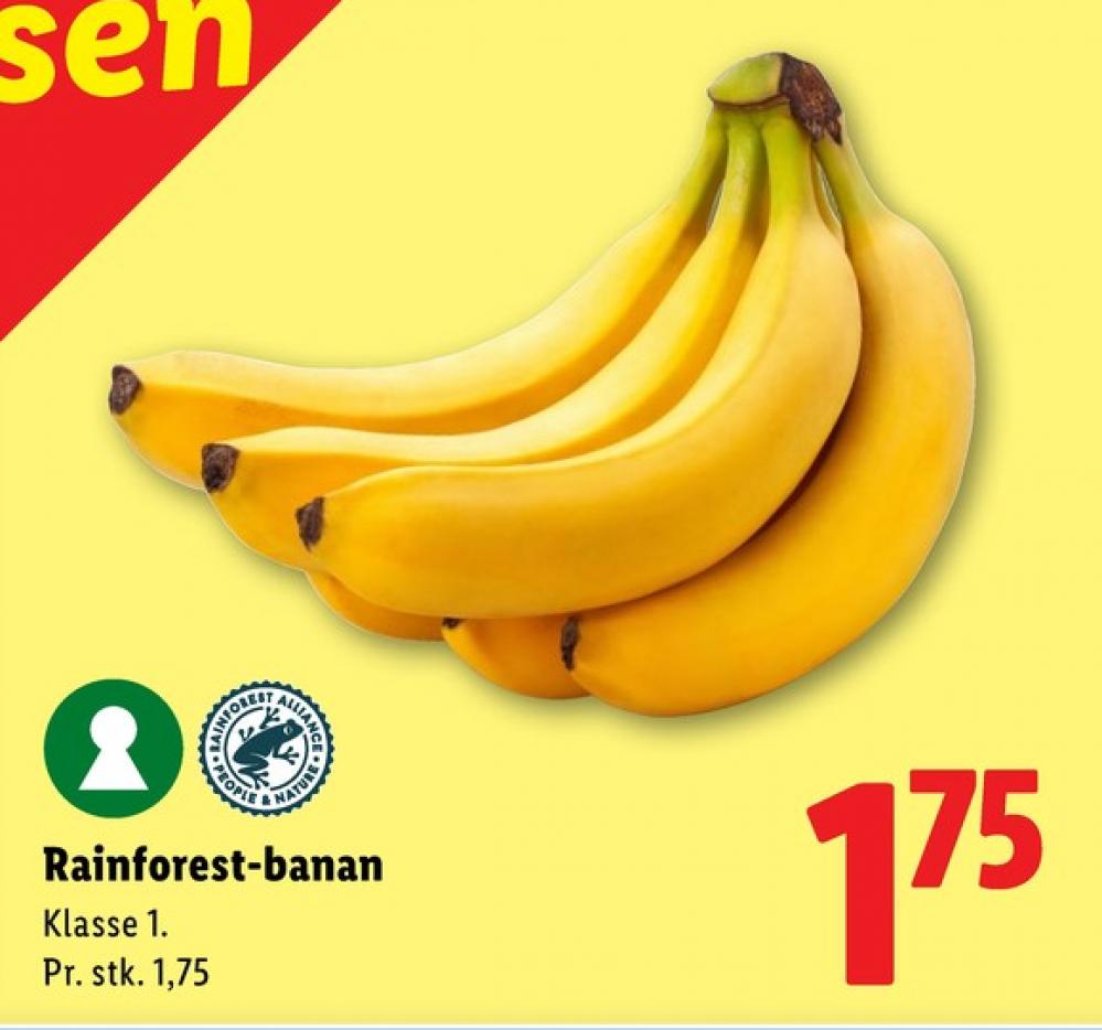 Bananer