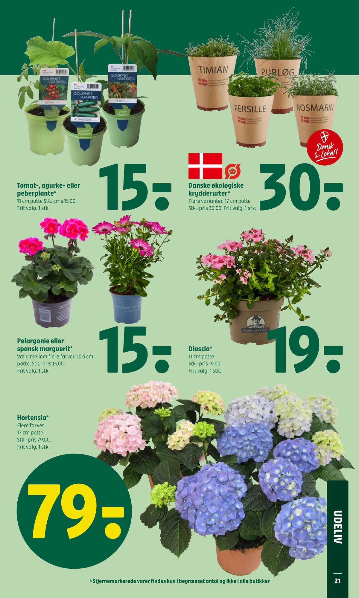 Catalogue page 27