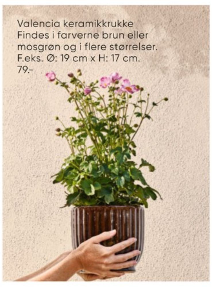 Havekrukker