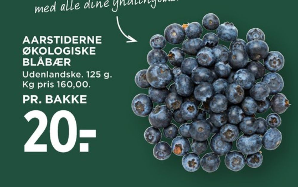 Aarstiderne, Blåbær