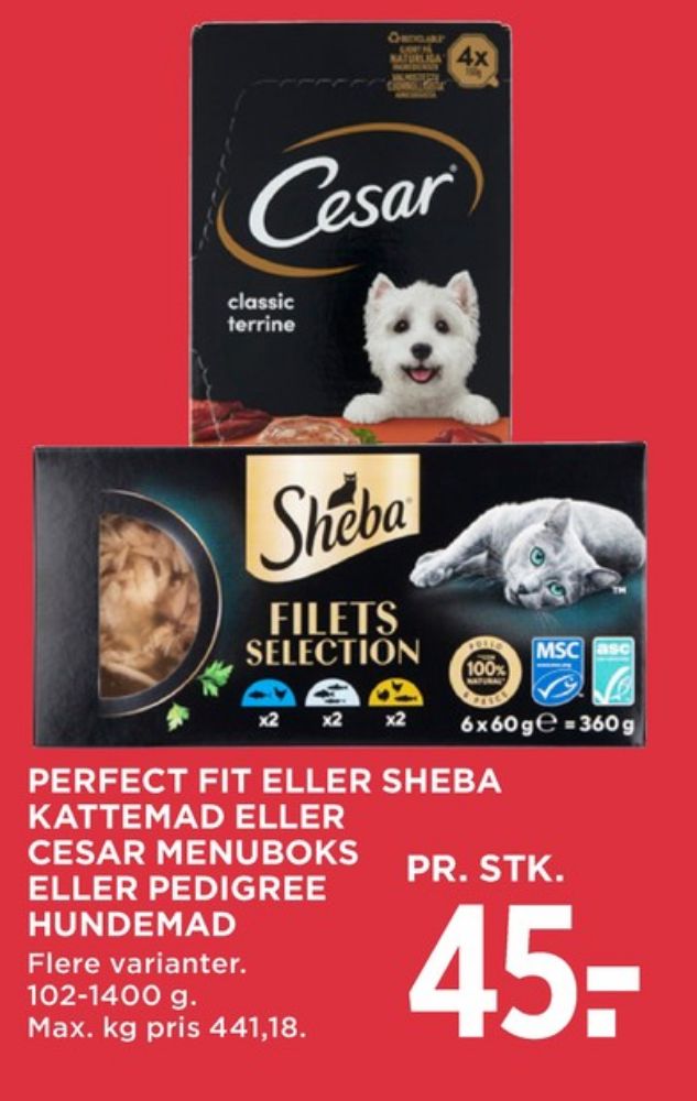 Sheba, Kattefoder