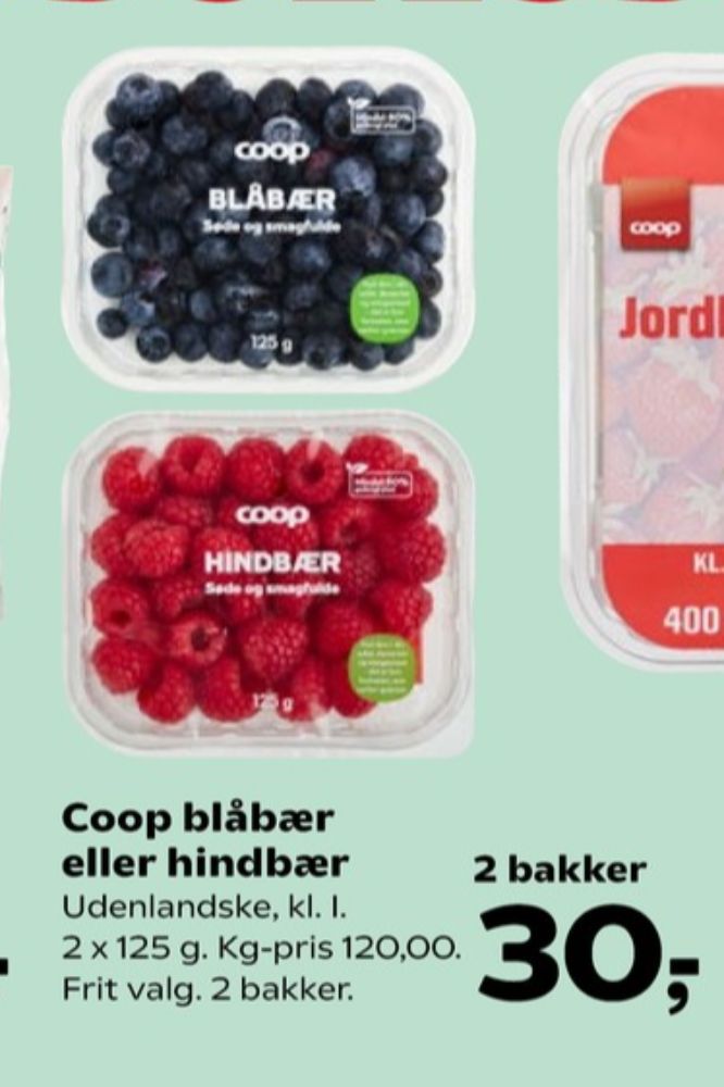 Coop, Blåbær