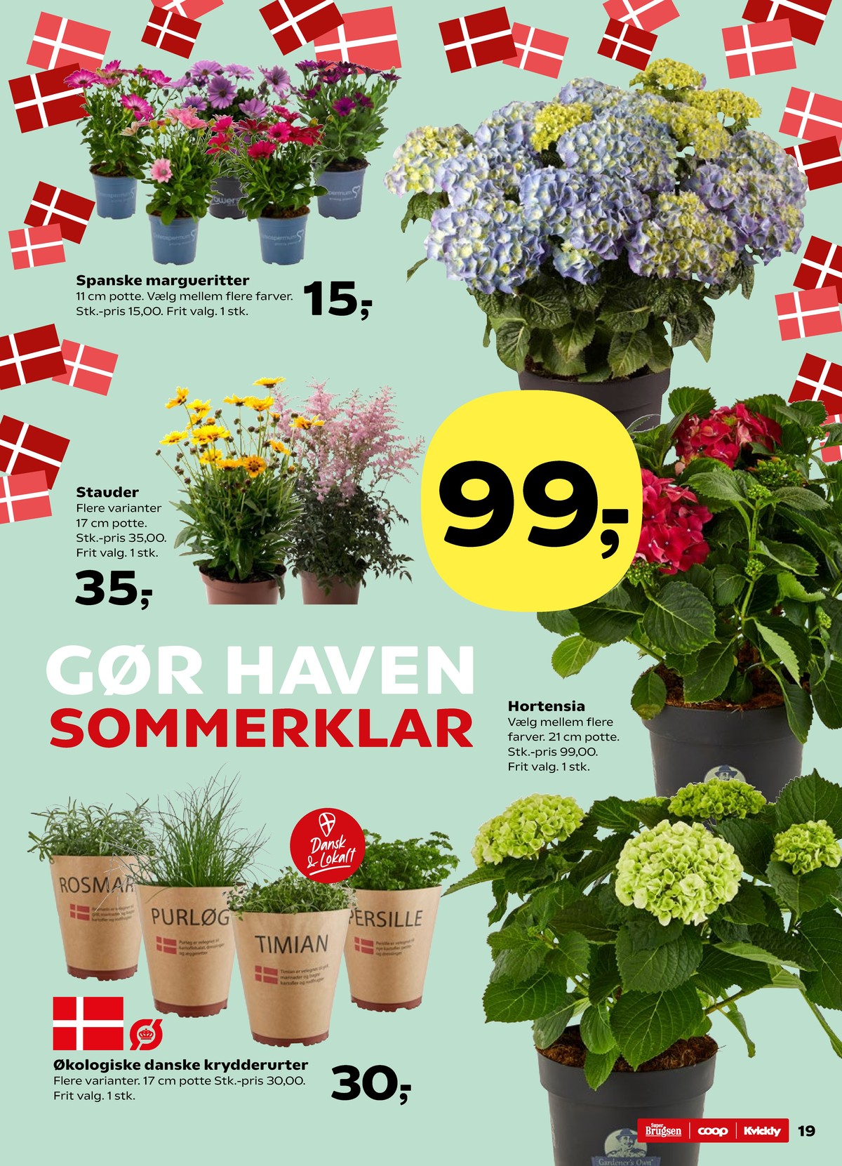 Catalogue page 19