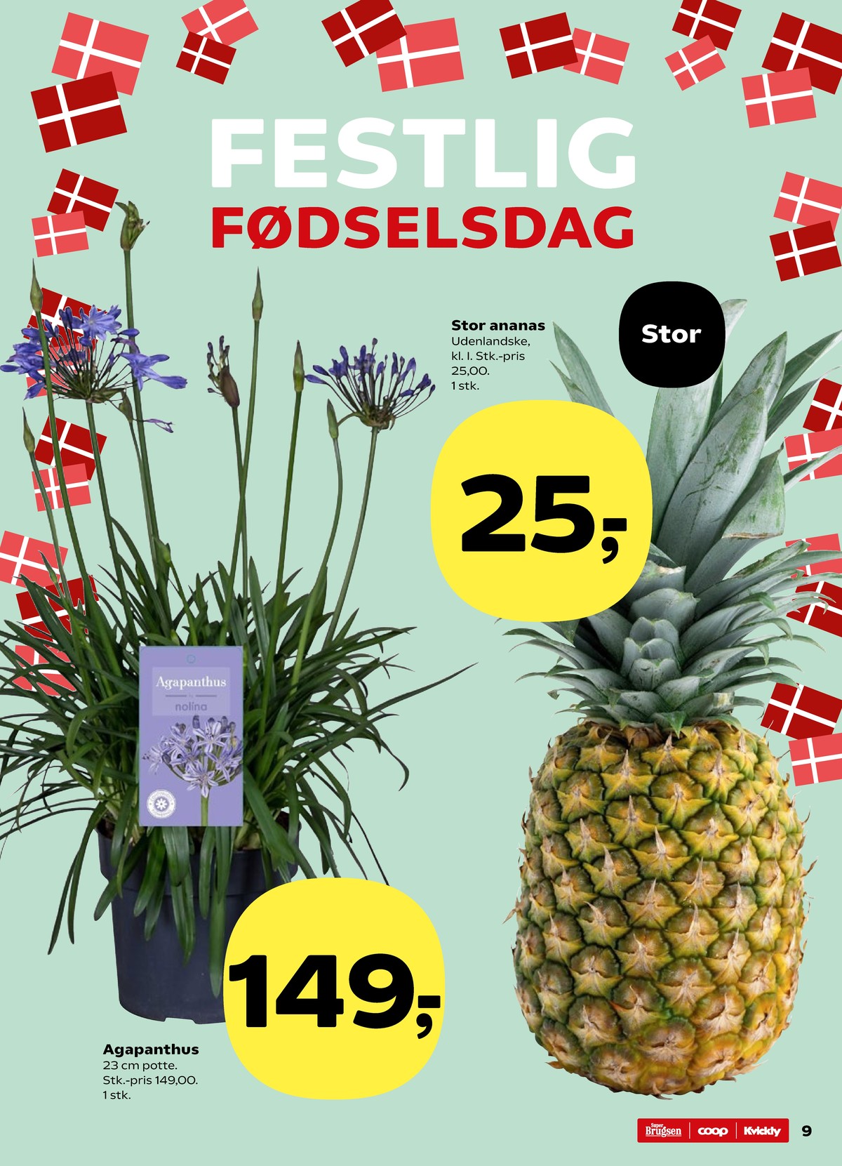 Catalogue page 9